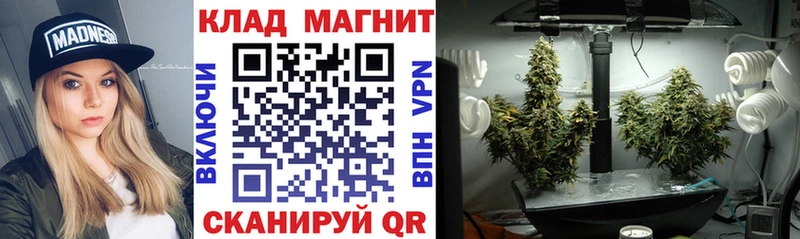 Виды наркотиков купить Нея Каннабис A PVP ГАШИШ COCAIN