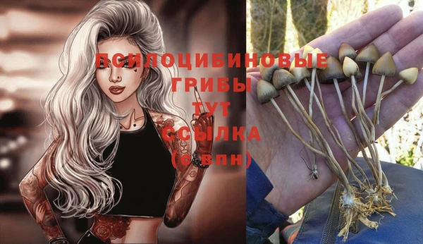 COCAINE Елизово