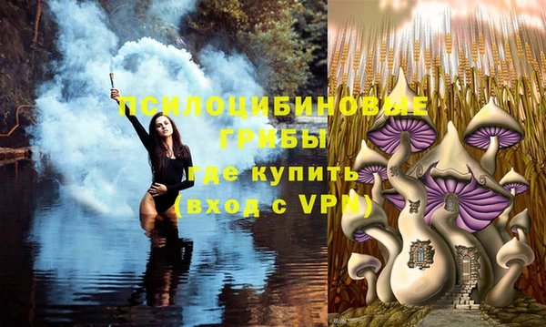 МДПВ Елабуга