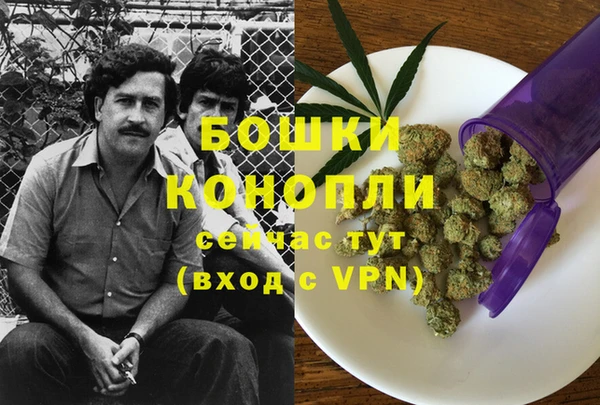 МДПВ Елабуга