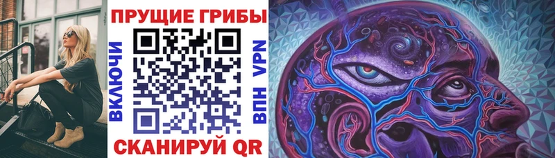 купить наркоту  Нея  Галлюциногенные грибы ЛСД 